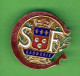 INSIGNE EMAILLE ANCIEN HARMONIE SAINT FERDINAND DE CHARTRES FANFARE MUSIQUE  EURE ET LOIR - Andere & Zonder Classificatie