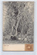 TRINIDAD - Rope Tree - Publ. Unknown  - Trinidad