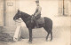 Maroc - OUJDA - Cavalier Du 2e Chasseurs D'Afrique - CARTE PHOTO Mars 1918 - Ed. Inconnu  - Autres & Non Classés
