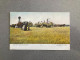 Threshing Scene Harvest Time In Canada Carte Postale Postcard - Tracteurs