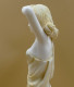 Delcampe - Statue En Albâtre Aprodithe  Nu - Autres & Non Classés