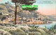 R423880 Monte Carlo. Vue Generale Et Jardins De Monaco. Giletta - World