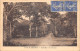 77-SENART-LA FORET-N°T2406-H/0055 - Autres & Non Classés