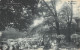 75-PARIS-EXPOSITION COLONIALE INTERNATIONALE 1931-N°T2408-H/0331 - Expositions