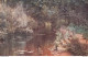 Salon De Paris 1914 Sté Des Artistes Français - René HIS Un Jardin Au Bas-Rouvron (Orne) NEURDEIN FRÈRES PARIS ♥♥♥ - Paintings