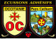 Région OCCITANIE Pays Cathares  -  Cpm Autocollant Adhésif Blason écusson -  ♥♥♥ - Other & Unclassified