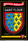 [15] SAINT-FLOUR - Cpm Autocollant Adhésif Blason écusson -  ♥♥♥ - Saint Flour