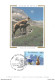 Carte Maximum Card Montagne Mountain Bouquetin Parc National De La Vanoise Planay 73 Savoie 1996 -  ♥♥♥ - 1990-1999