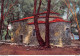 LOT DE 4 CPSM  ± 1960  - ABBAYE DE N.-D. DE LÉRINS ILE SAINT-HONORAT  -  ♥♥♥ - Other & Unclassified