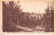 [43] MONTFAUCON -  Paysage Au Bois De Bramard - Cpa 1936 ♥♥♥ - Montfaucon En Velay