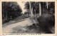 [43] LE CHAMBON-sur-LIGNON Un Sous-bois Aux Airelles - Edition Prosper Berthéas - Cpsm 1946 ♦♦♦ - Le Chambon-sur-Lignon