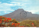 [97] MARTINIQUE -LA MONTAGNE PELÉE VUE DE SAINT-PIERRE►ÉDIT. FÉLIX ROSE-ROSETTE, FORT DE FRANCE Cpm 1987 ♦♦♦ - Autres & Non Classés