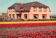72680899 Noordwijk Aan Zee  Hotel Pension De Instuif Blumenbeet Tulpen  - Other & Unclassified