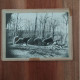 Grande Photographie Ancienne Dolmen De La Contrie Avant Sa Restauration, Situé Près D'Ernée - Anciennes (Av. 1900)