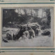 Grande Photographie Ancienne Dolmen De La Contrie, Situé Près D'Ernée - Old (before 1900)