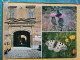 KOV 506-51 - BUTTERFLY, PAPILLON, MUSEUM, MUSEE, ZAGREB, BEE, ABEILLE - Schmetterlinge