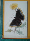 KOV 506-51 - BUTTERFLY, PAPILLON - Butterflies