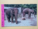 KOV 506-46 - ELEPHANT, ELEFANT, ZOO GARDEN ZAGREB, JARDIN ZOOLOGIQUE,  - Elefanten
