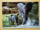 KOV 506-46 - ELEPHANT, ELEFANT, AFRICA,  - Elefanten