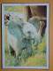 KOV 506-46 - ELEPHANT, ELEFANT,  - Éléphants