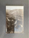 Looking Down On The Loops Of The Chicago Creek Road From Panorama Point Carte Postale Postcard - Other & Unclassified