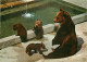 Animaux - Ours - La Fosse Aux Ours De Berne - Oursons - Zoo - Bear - CPM - Carte Neuve - Voir Scans Recto-Verso - Ours