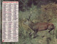 Calendrier France 1983 Cerf Solitaire Grands Bois - Tamaño Grande : 1981-90