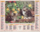 Calendrier France 1984 Jeune Chien Jeunes Chats - Grand Format : 1981-90