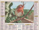 Calendrier France 1973 Le Jeune Fermier Poussins Rouge Gorge Oiseau - Grossformat : 1971-80