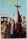 10370011 - Narragansett - Fishing