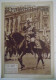 Le Patriote Illustré N° 4/1936 Roi George V D'Angleterre Est Mort - Père Damien - Ibiza - Belle Pub Chocolat Côte D'or.. - 1900 - 1949