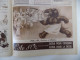Delcampe - Le Patriote Illustré N° 2/1936 Religieuses “ Bon Pasteur ” - Sultan IBN-Seoud Mer Rouge - Belle Pub Chocolat Côte D'or.. - 1900 - 1949