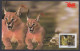 Inde India 2006 Mint Postcard Wildlife Of Rajasthan, Caracal, Wild Animal, Animals, Wild Life - Inde