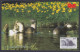 Inde India 2006 Mint Postcard Wildlife Of Rajasthan, Smooth Indian Otter, Wild Animal, Animals, Wild Life - Inde