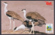 Inde India 2006 Mint Postcard Wildlife Of Rajasthan, Great Indian Bustard, Wild Animal, Animals, Wild Life - Inde