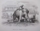 Sri Lankā : Antique Print  Dumont D’Urville (1857) - Documents Historiques