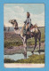 639 CAMEL CAVALRY TRANSPORT RARE POSTCARD - Sonstige & Ohne Zuordnung