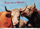 CPSM 1968 - VACHES - " PARLEZ-MOI D'AMOUR ...." - ÉD. CAP - Kühe