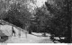 MONT-VENTOUX (84) CPSM ±1960 - Plateau Du Contrat - Cabane Forestière - Skieur - Ed. MEYER - Autres & Non Classés