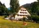 72639136 Badenweiler Sanatorium Vogelbachhof Rotwild Badenweiler - Badenweiler