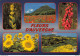 [63]  FLEURS D'AUVERGNE Gentiane - Coquelicots - Digitales - Tournesols - Champs De Genêts - Auvergne Types D'Auvergne