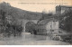 TREIGNAC - Les Carderies Et Le Pont Finot Sur La Vézère - Très Bon état - Treignac