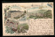 Lithographie Weinheim A. D. Bergstrasse, Bahnhof-Hotel Prinz Wilhelm Von H. Ehret, Panorama  - Weinheim