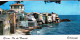 20 - Corse -  ERBALUNGA  - Vue D Ensemble - Format 15 Cm X 7.4 Cm - Other & Unclassified