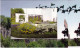 77 -  CHATEAU LANDON -   Carte A Systeme - Maison De Retraite - Facade Restaurée Et Jardin Du Haut - Rare - Chateau Landon
