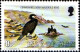Man Poste N** Yv:219/230 Oiseaux Marins 1.Serie - Isola Di Man