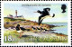 Delcampe - Man Poste N** Yv:219/230 Oiseaux Marins 1.Serie - Isle Of Man