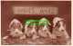 R503917 Babies Ward. Waiting For Mother. Rotary Photo - Monde