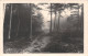 88-PAYSAGE DES VOSGES-N°4221-B/0071 - Other & Unclassified