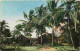 Sénégal - Cases Sous Les Cocotiers - Colorisée - Mention Photographie Véritable - Carte Dentelée - CPSM Format CPA - Voi - Sénégal